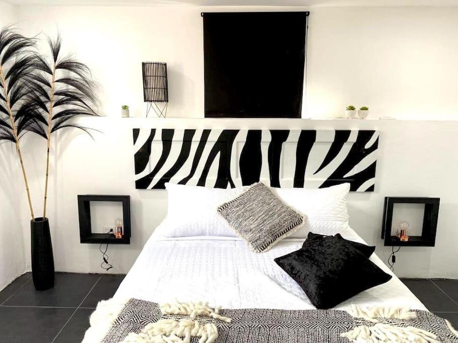 Paradiso Apartments - 1 Bdr Oranjestad Eksteriør billede